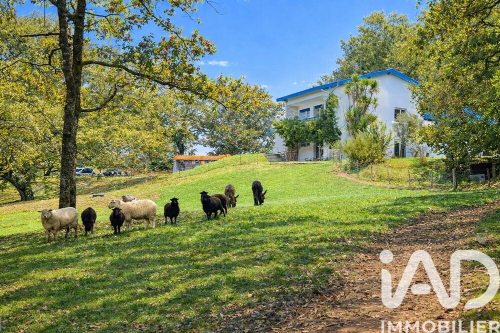 Vente Maison de campagne 11 pièces