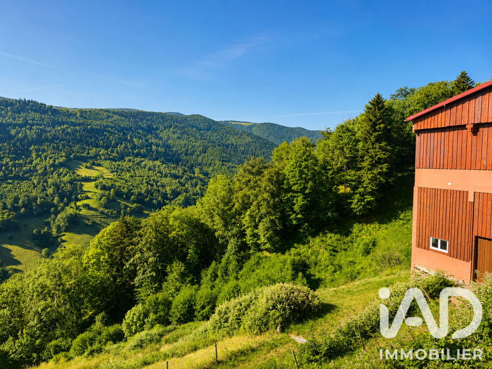 à vendre  Maison Sainte-Marie-aux-Mines (68160)