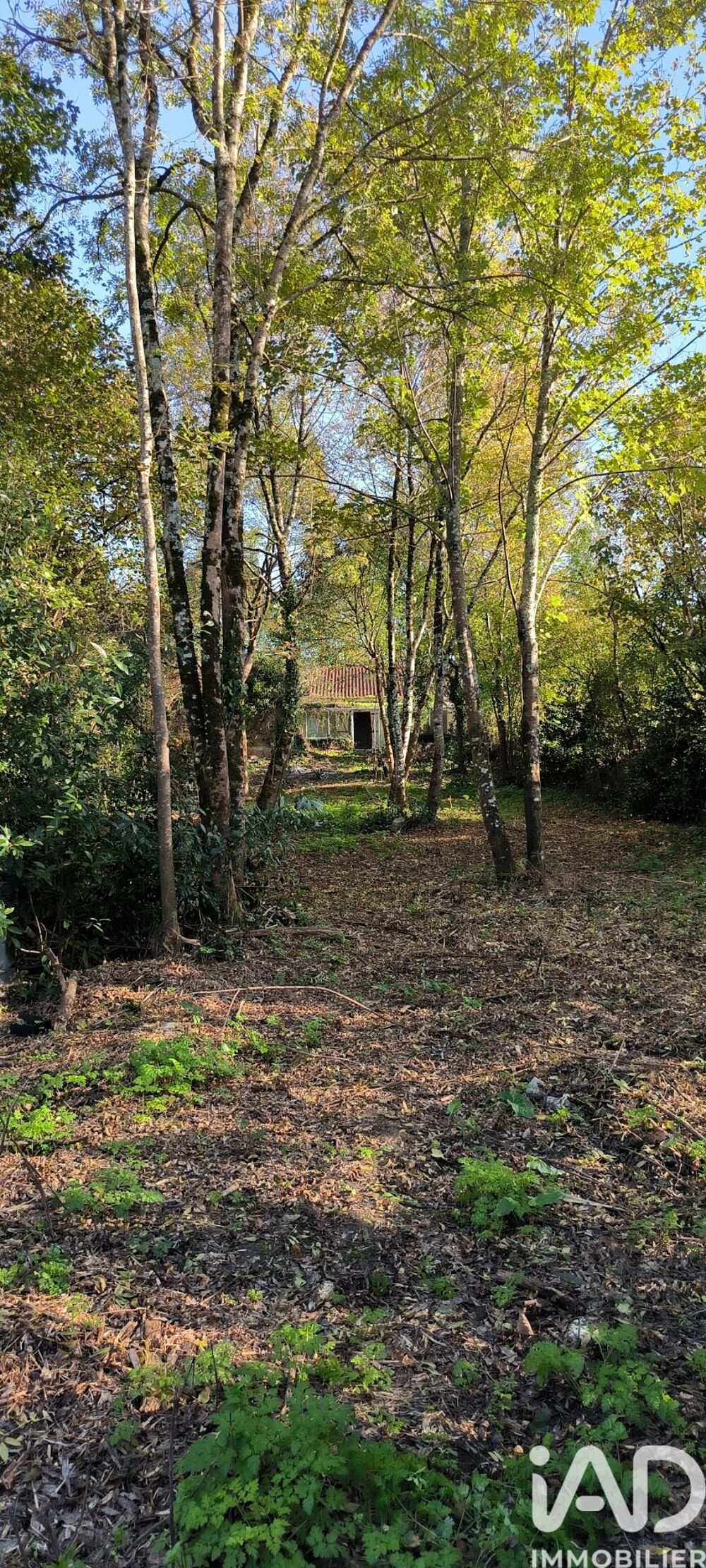 Vente Maison Vente Maison traditionnelle 5 pièces Cognac