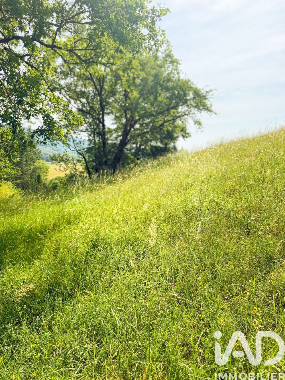 Vente Terrain Vente Terrain 3 770 m&sup2; Conques-en-rouergue