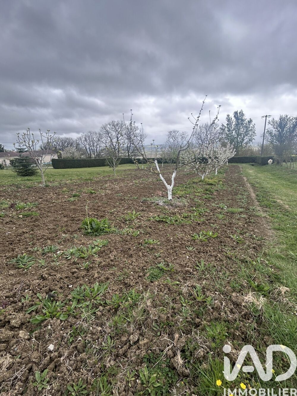 Vente Terrain Vente Terrain 3 337 m&sup2; Port-sainte-marie
