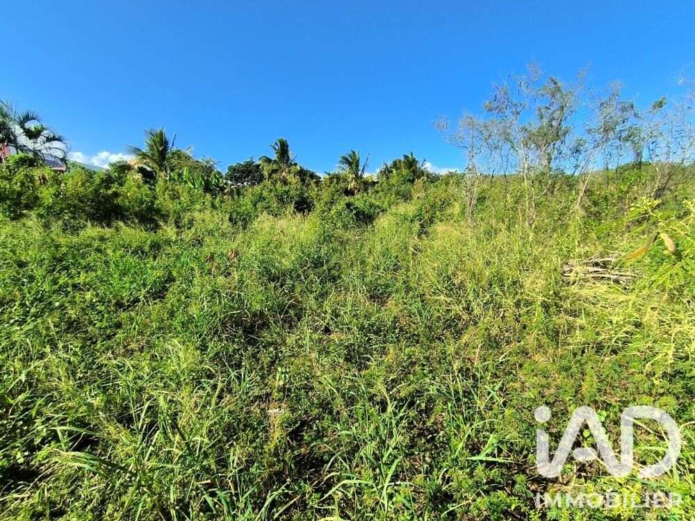 vente Terrain - 400 m² Saint-Louis (97421)