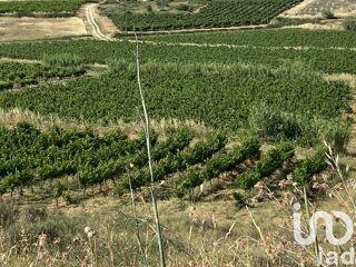  Terrain � vendre 52610 m�