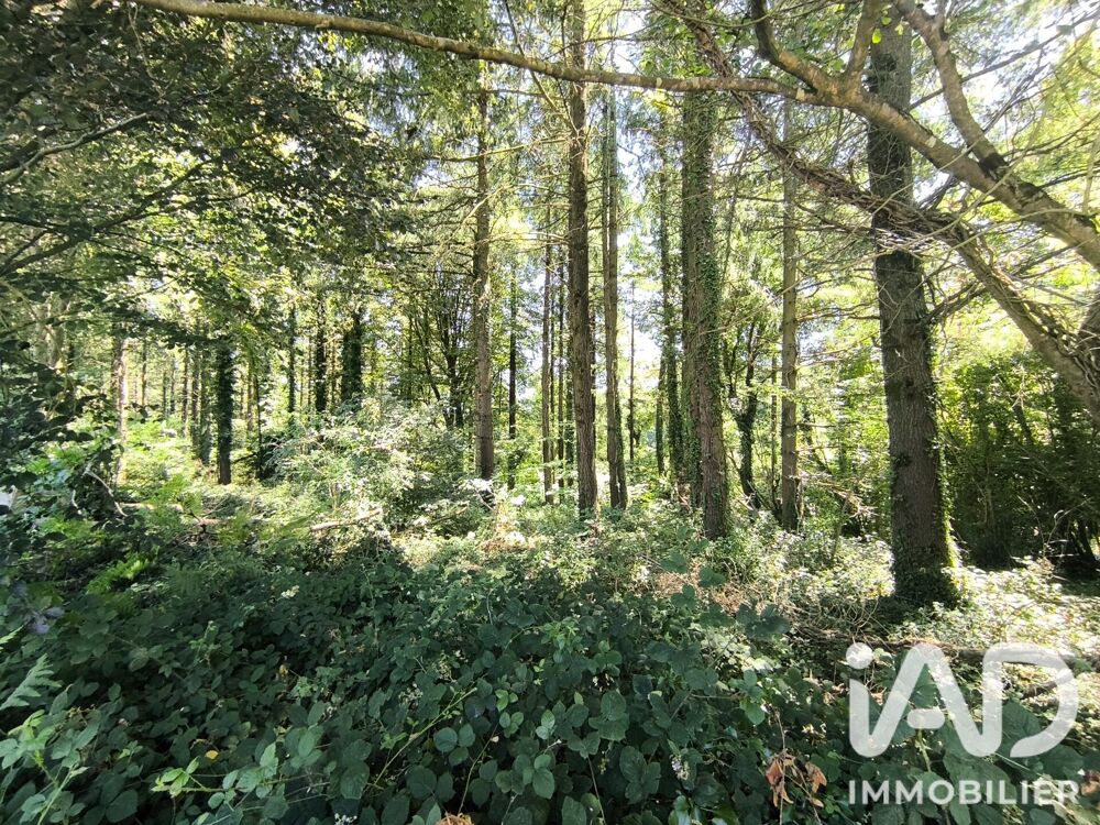 Vente Terrain Vente Terrain 7 084 m&sup2; Pleyben