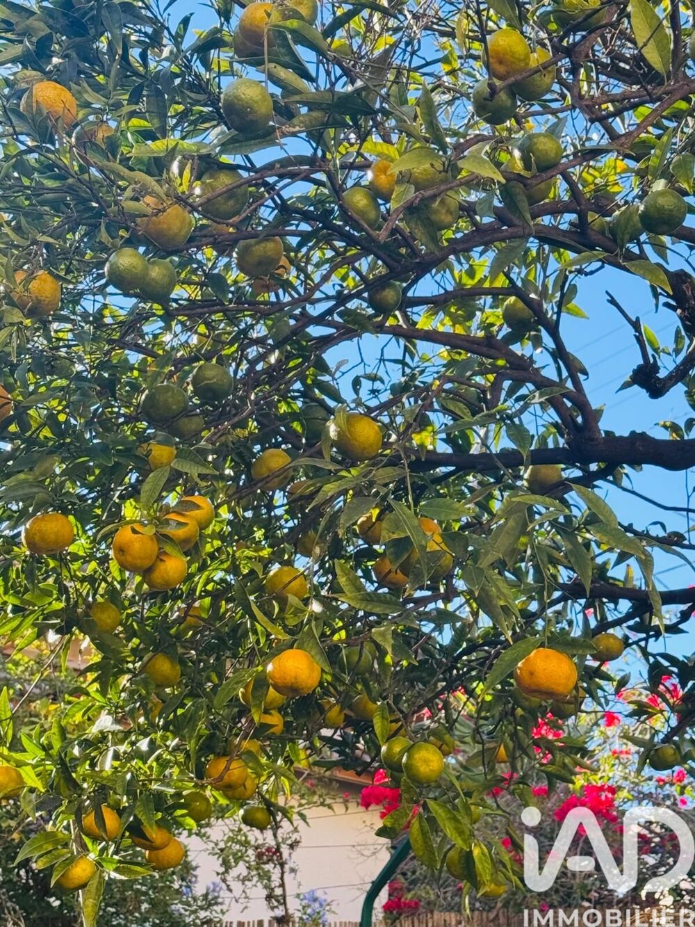 à vendre  Maison Antibes (06600)
