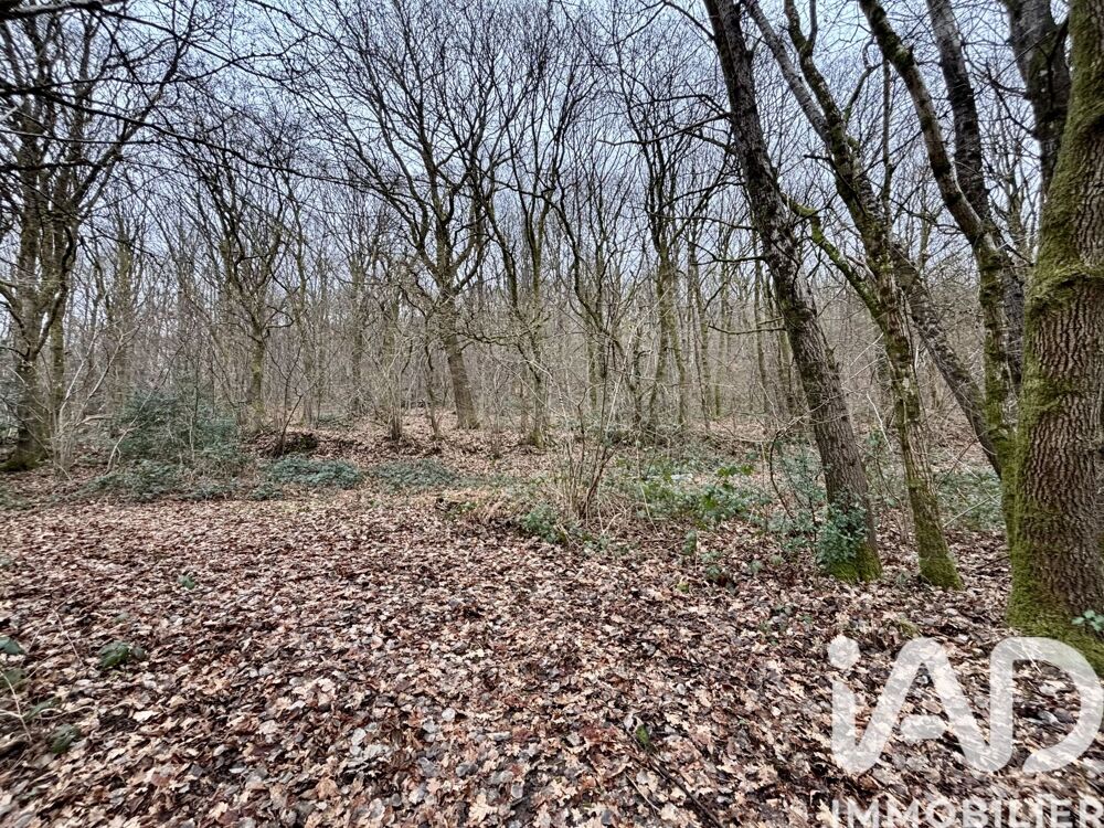Vente Terrain Vente Terrain à bâtir 3 567 m&sup2; Bogny-sur-meuse
