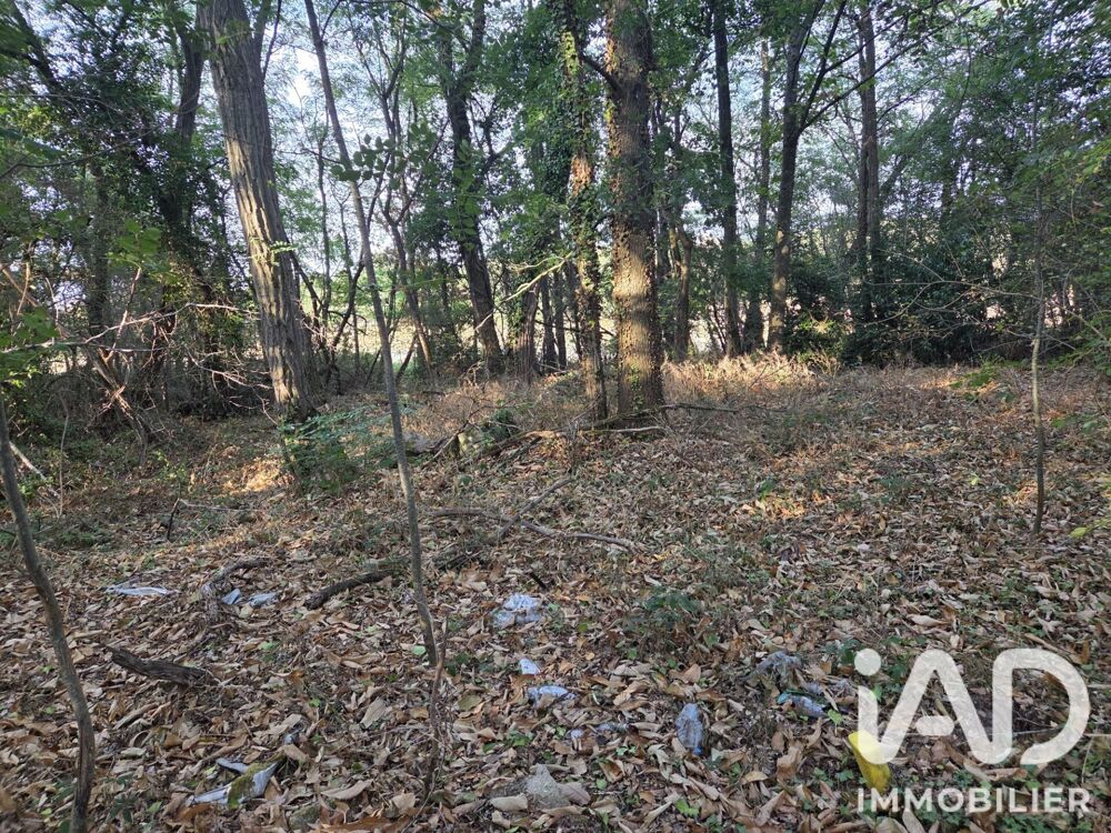 Vente Terrain Vente Terrain 1 041 m&sup2; Soisy sur ecole