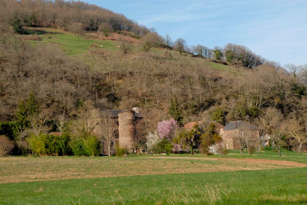 � vendre  Maison Albi (81000)