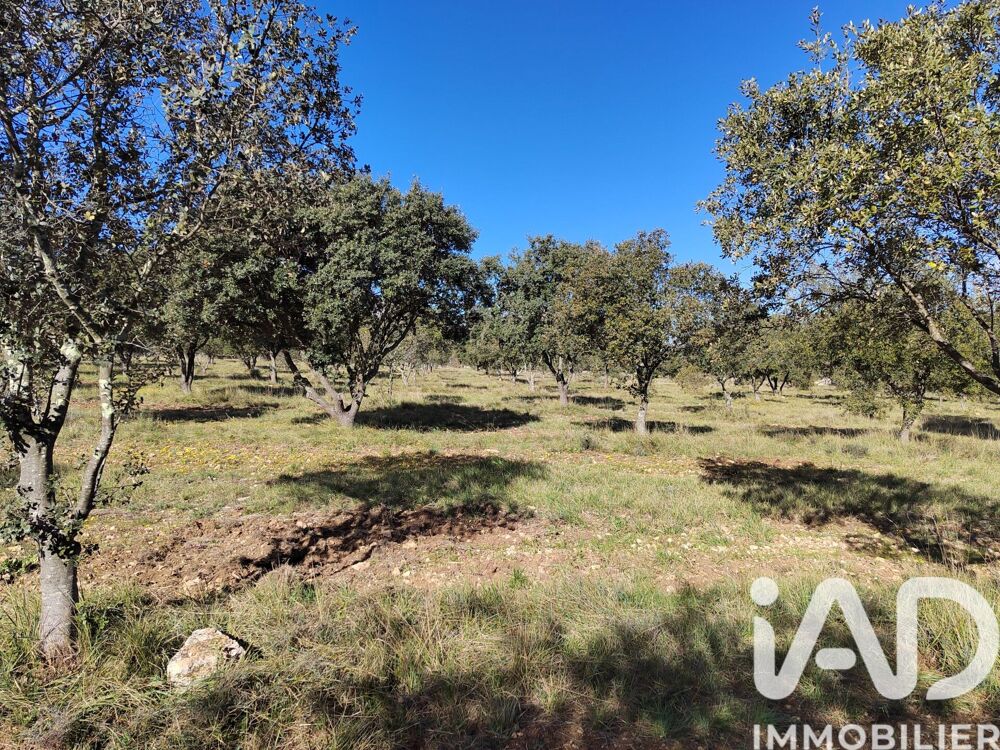 Vente Terrain Vente Truffière 12 400 m&sup2; Laval saint roman