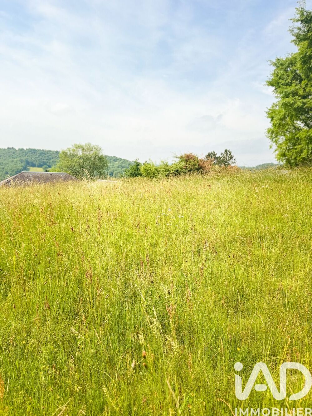 Vente Terrain Vente Terrain 3 770 m&sup2; Conques-en-rouergue
