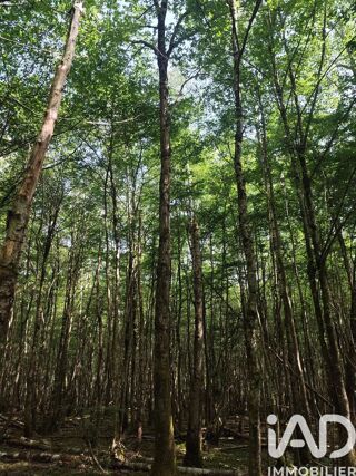  Terrain à vendre 82500 m²