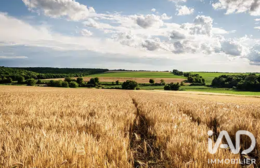 Vente Terrain Vente Terrain agricole 600 000 m&sup2; Nogaro
