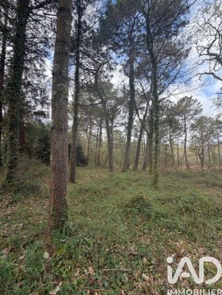  Terrain � vendre 43500 m�