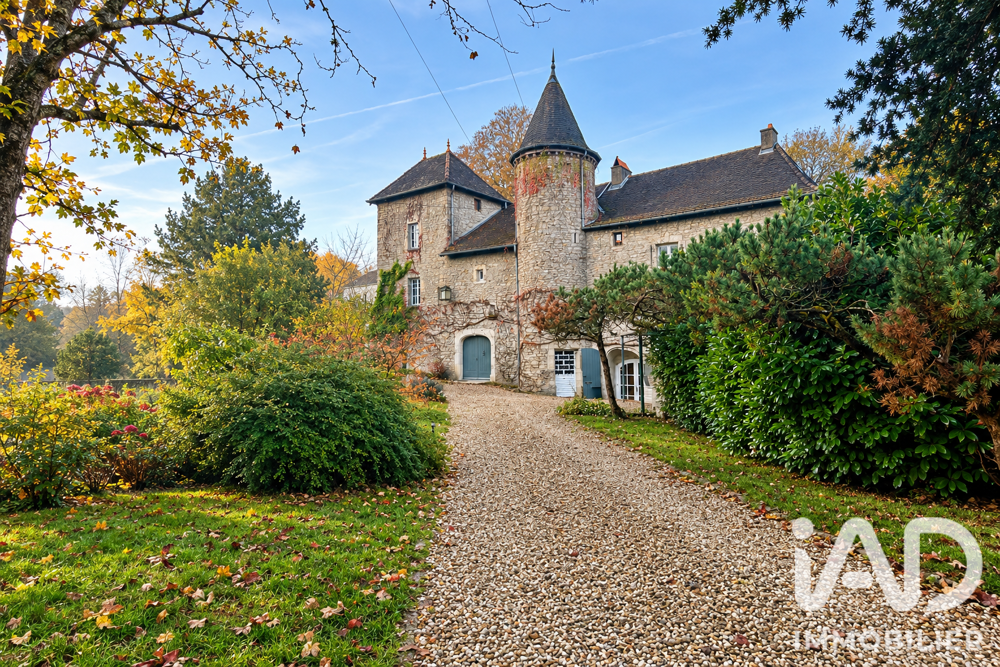Vente Maison Vente Château 15 pièces Pagney