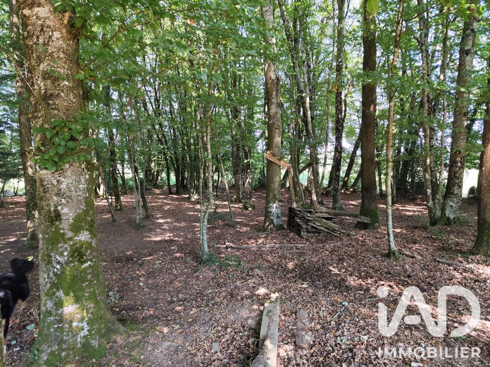 Vente Maison/villa 8 pièces