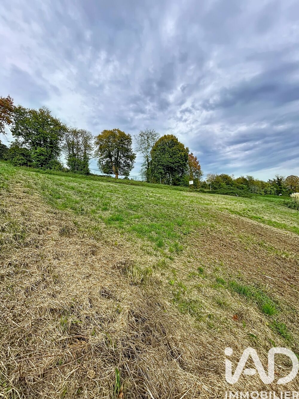 Vente Terrain Vente Terrain agricole 7 995 m&sup2; Monein