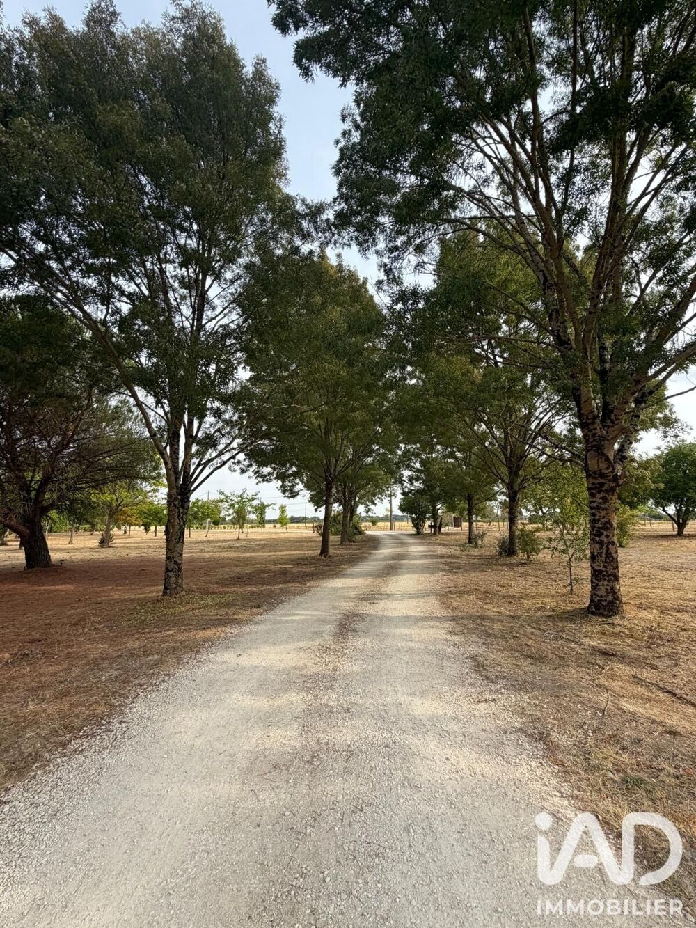 à vendre  Maison Cormeray (41120)