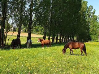  Maison � vendre 5 pi�ces 640 m�