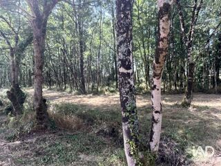  Terrain à vendre 7530 m²