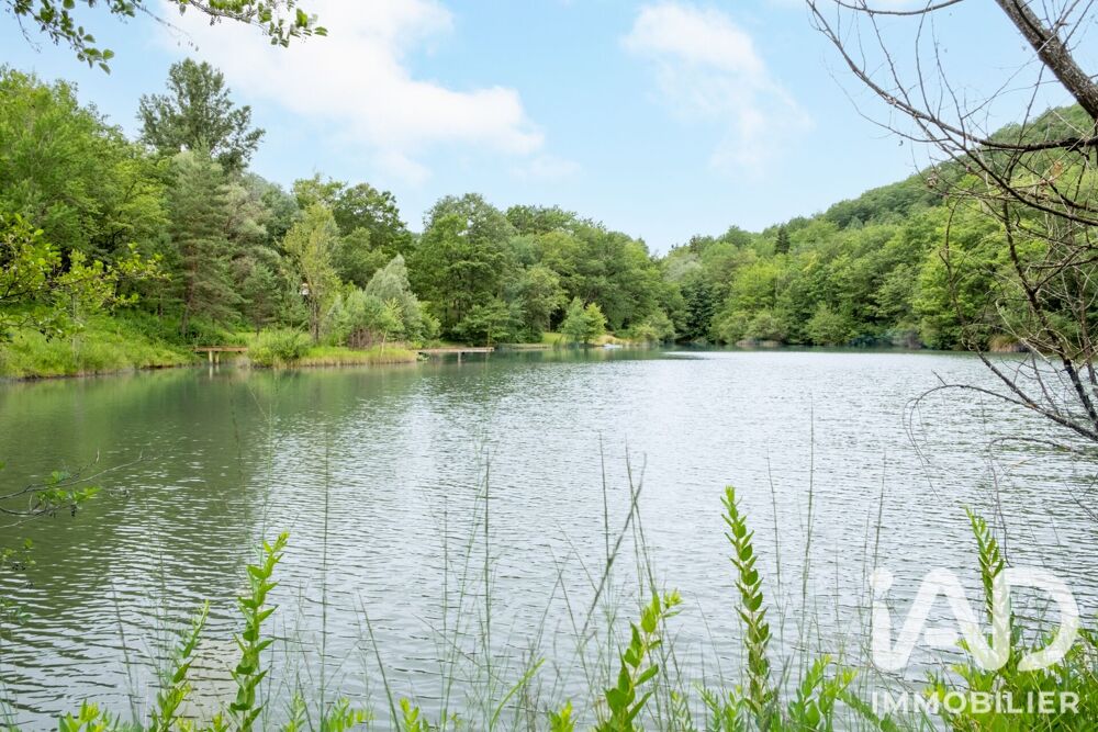 Vente Domaine 12 pièces