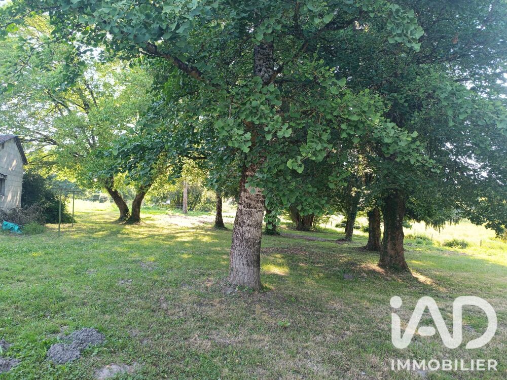 Vente Maison Vente Longère 5 pièces Langeais