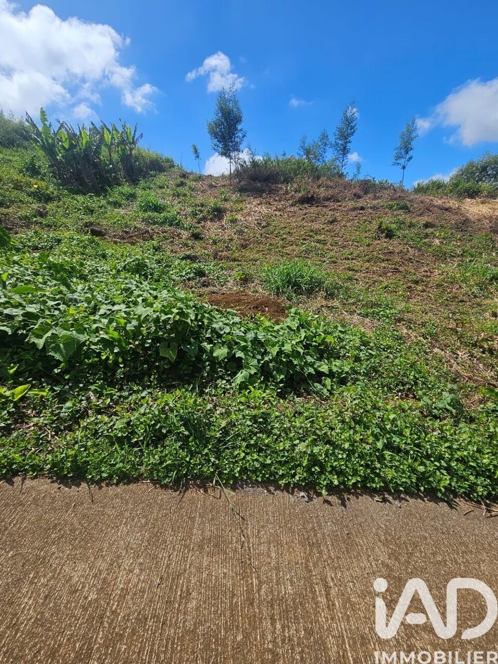 vente Terrain - 1188 m² Saint-Leu (97424)