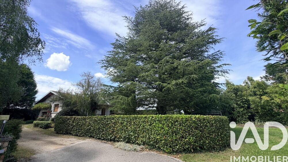 vente Maison - 6 pièce(s) - 130 m² Châtillon-sur-Chalaronne (01400)