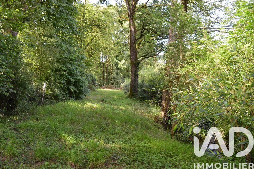 Vente Terrain Vente Terrain 4 555 m&sup2; Guémené-penfao