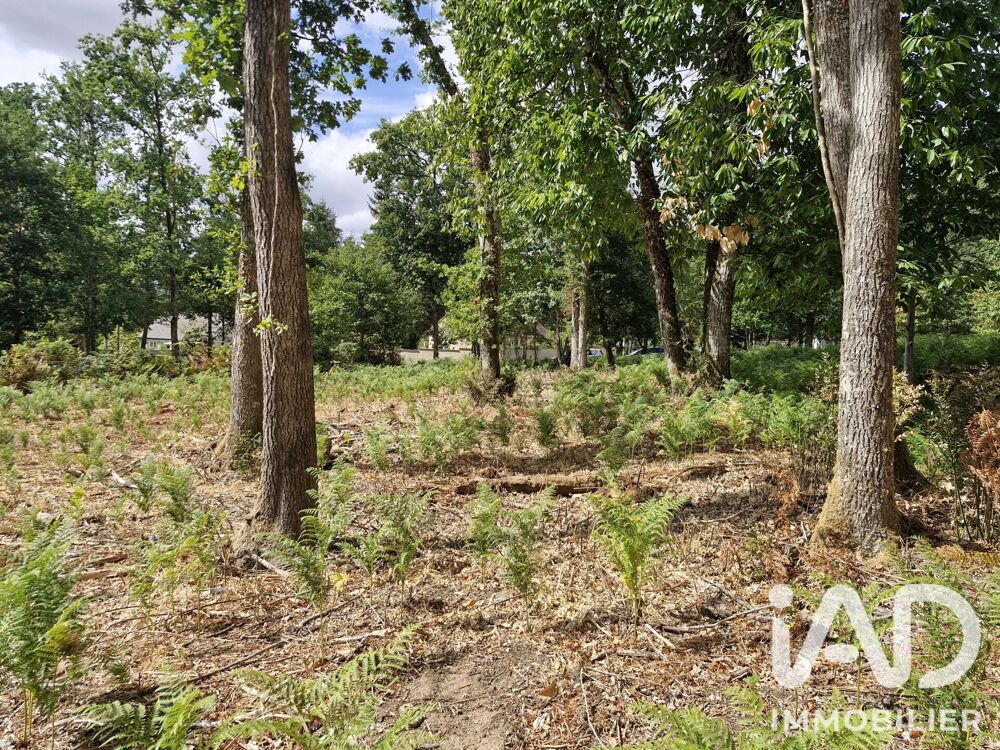 Vente Terrain Vente Terrain à bâtir 1 661 m&sup2; Saint-benoît-la-forêt