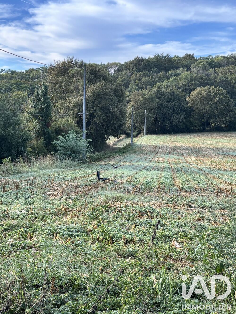 Vente Terrain Vente Terrain à bâtir 1 809 m&sup2; Pouyastruc