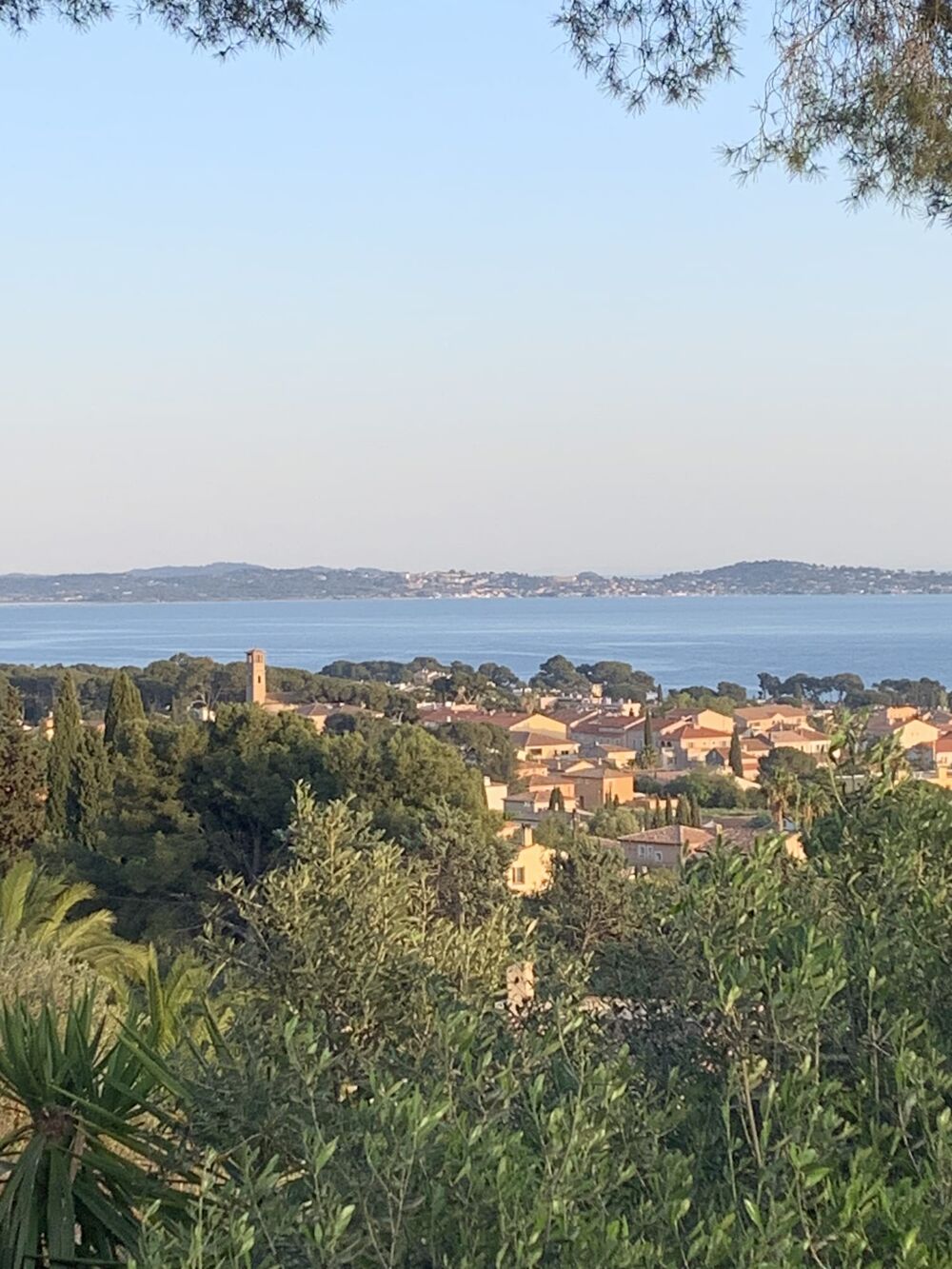 � vendre  Maison Carqueiranne (83320)