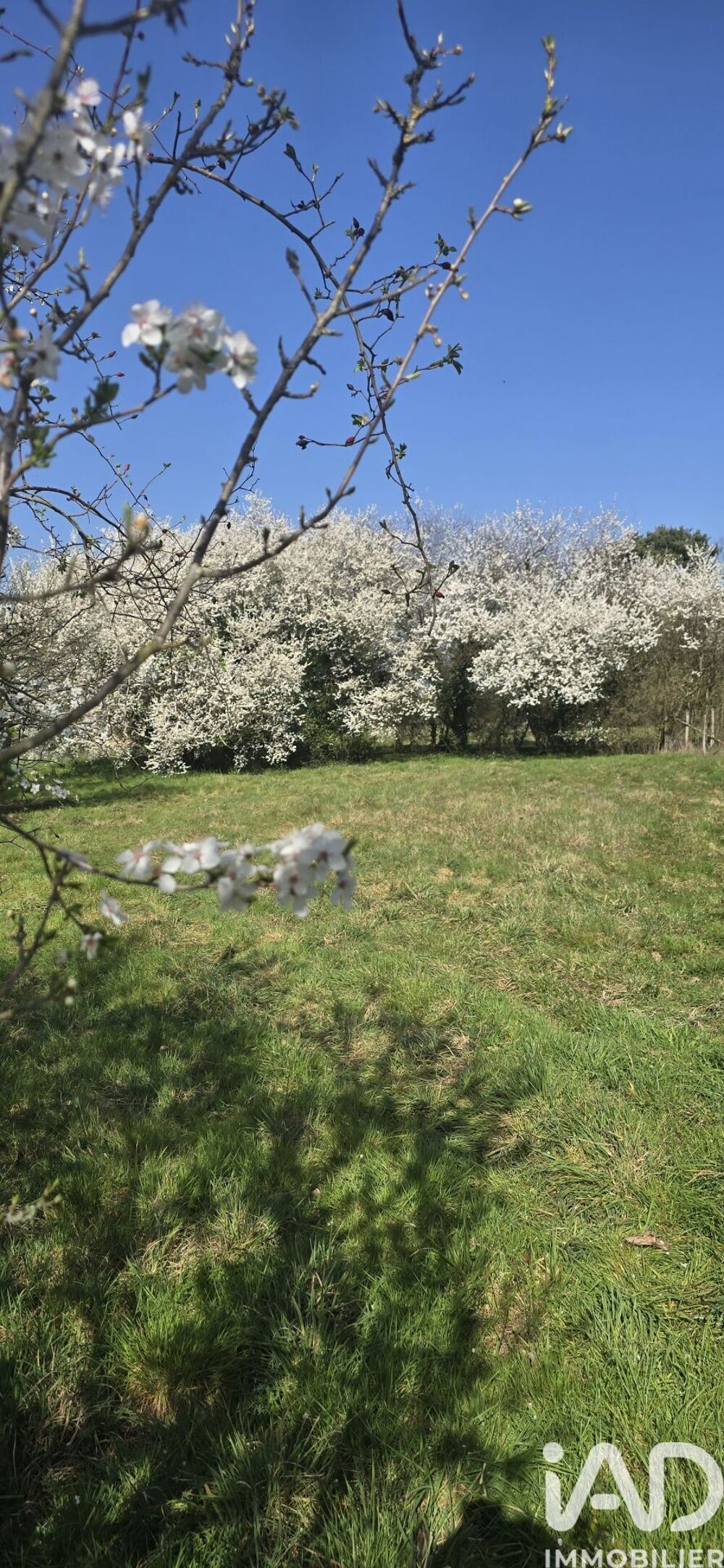 Vente Terrain Vente Terrain 1 213 m&sup2; Sainte-euphémie