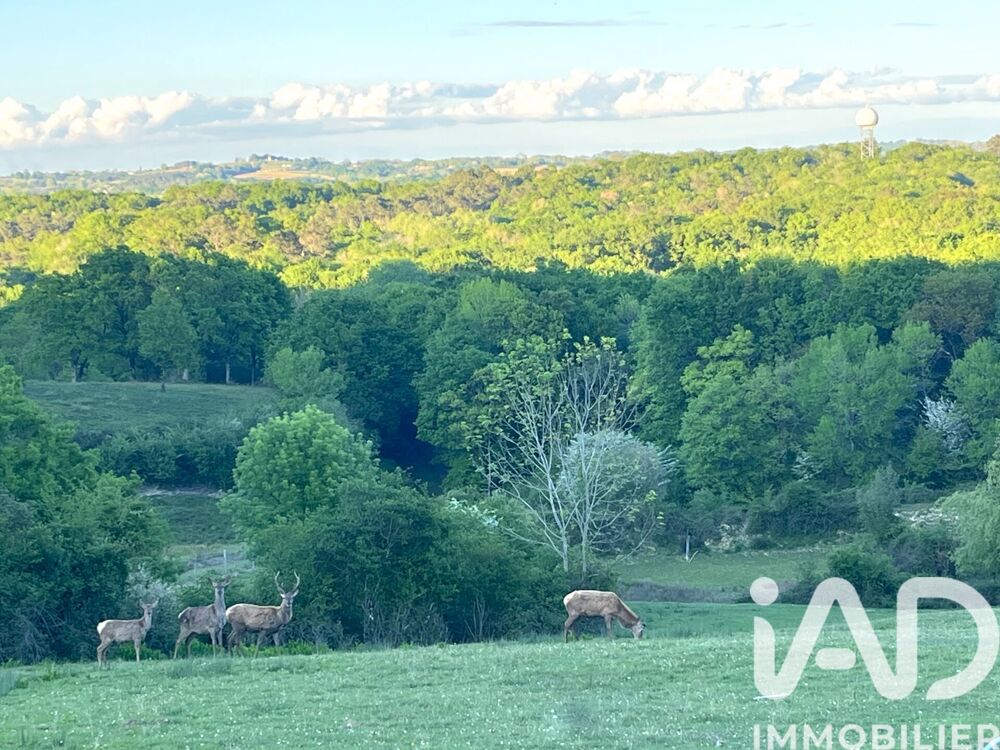 à vendre  Maison Saint-Lon-les-Mines (40300)