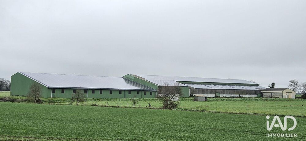   Vente Hangar 4 500 m&sup2; 