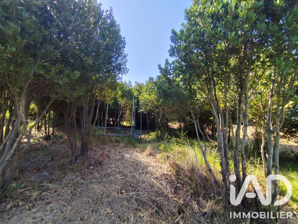 Vente Terrain Vente Terrain 5 260 m&sup2; Salses-le-château