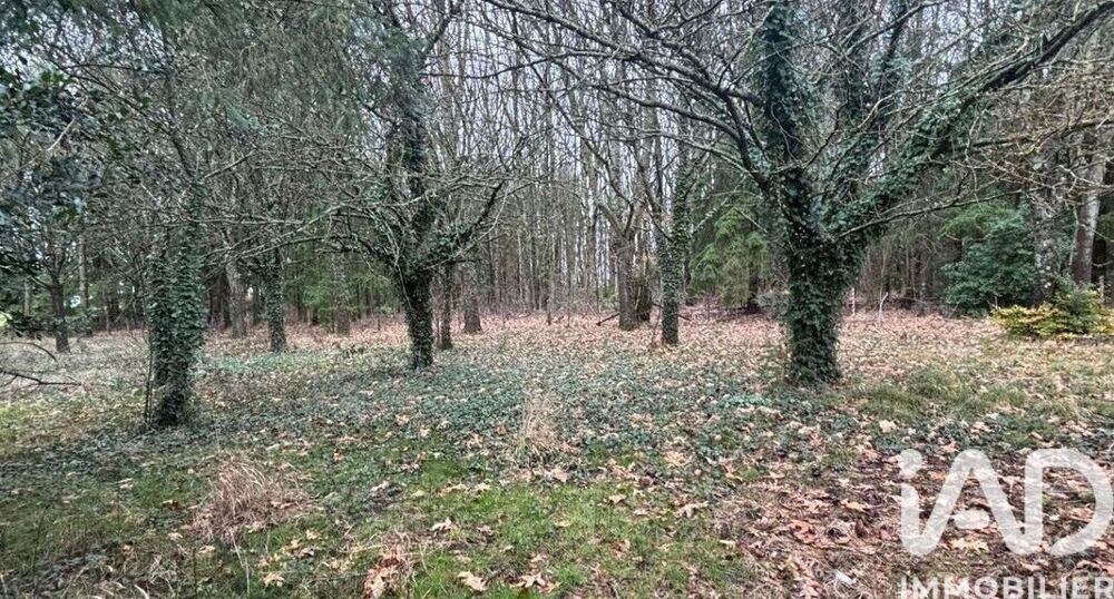 Vente Longère 3 pièces