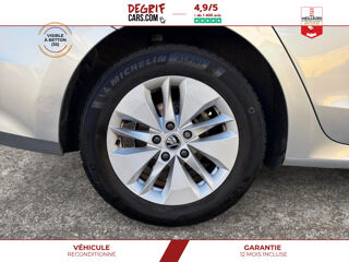 Octavia Combi 2.0 TDI 116 DSG Business + HAYON ELEC + AIDES STATIONN 2023 occasion 35830 Betton