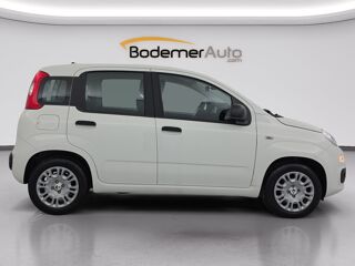 Panda 1.0 70 ch Hybrid BSG S/S City 5p 2025 occasion 35170 Bruz