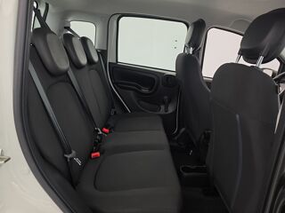 Panda 1.0 70 ch Hybrid BSG S/S City 5p 2025 occasion 35170 Bruz