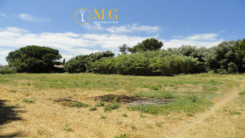 Vente Terrain TERRAIN 1 074 M2 dont 664 m2 constructibles à SAINT-GILLES St gilles