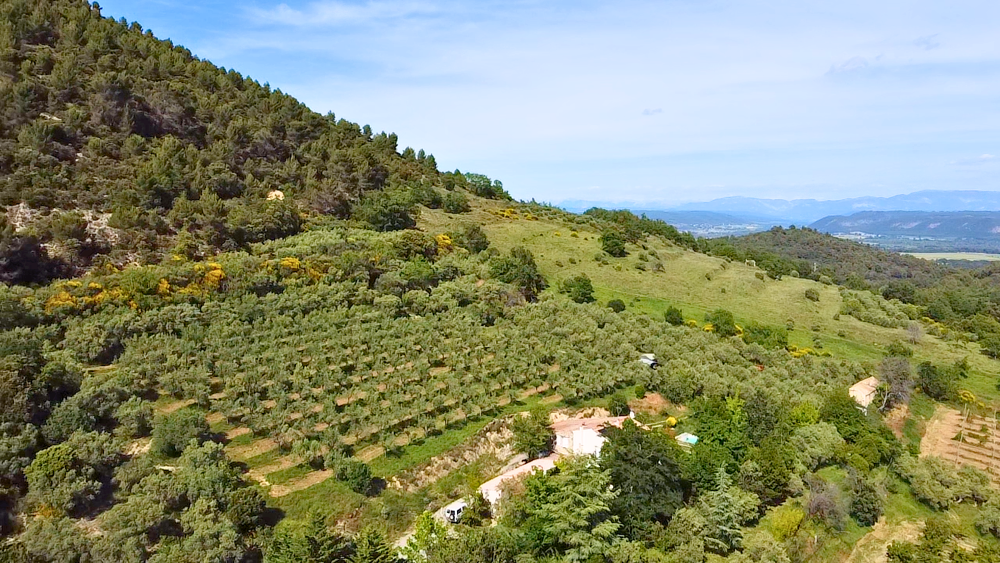 Propriété avec vue panoramique et 800 oliviers en production