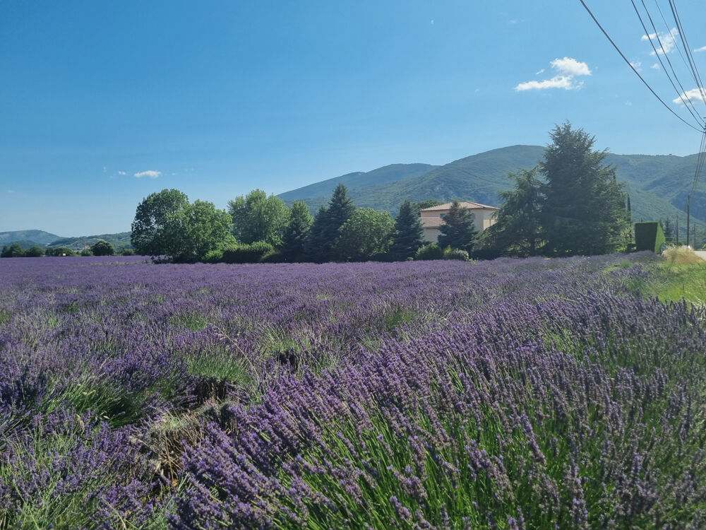 Vente Maison Propriété avec terrain et piscine Sisteron