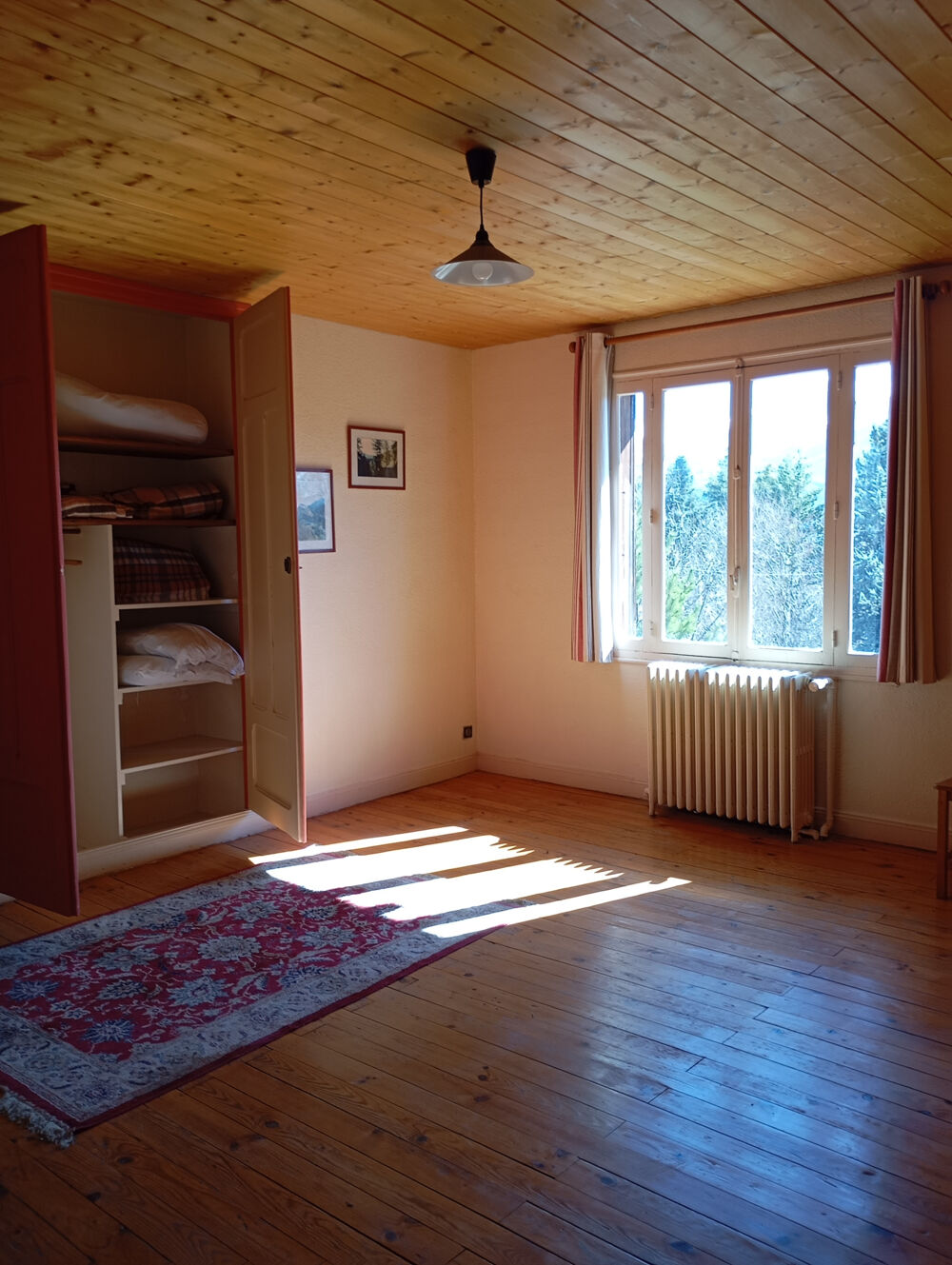 � vendre  Propri�t�/ch�teau Embrun (05200)