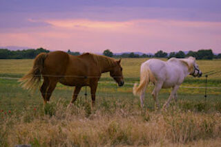  Maison � vendre 15 + pi�ces 465 m�