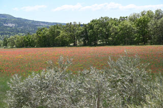  Maison � vendre 14 pi�ces 500 m�