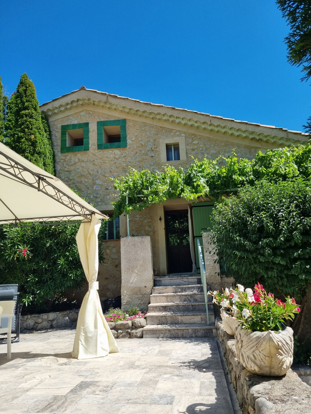 MAS PROVENCAL RENOVE AVEC PISCINE