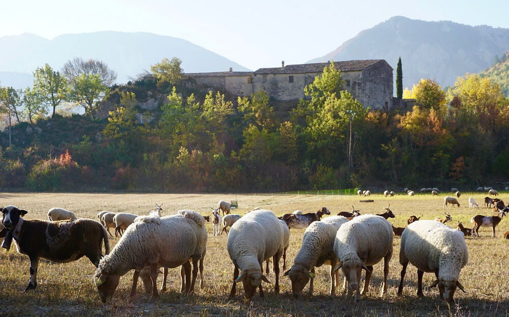 Maison 10 pièces 278 m² · à Sisteron · 278 m² · 689 000 €