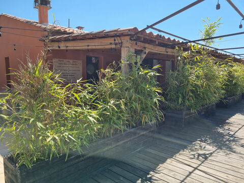 LOCAL COMMERCIAL sur 1728 m2 de terrain clos 2800 04860 Pierrevert