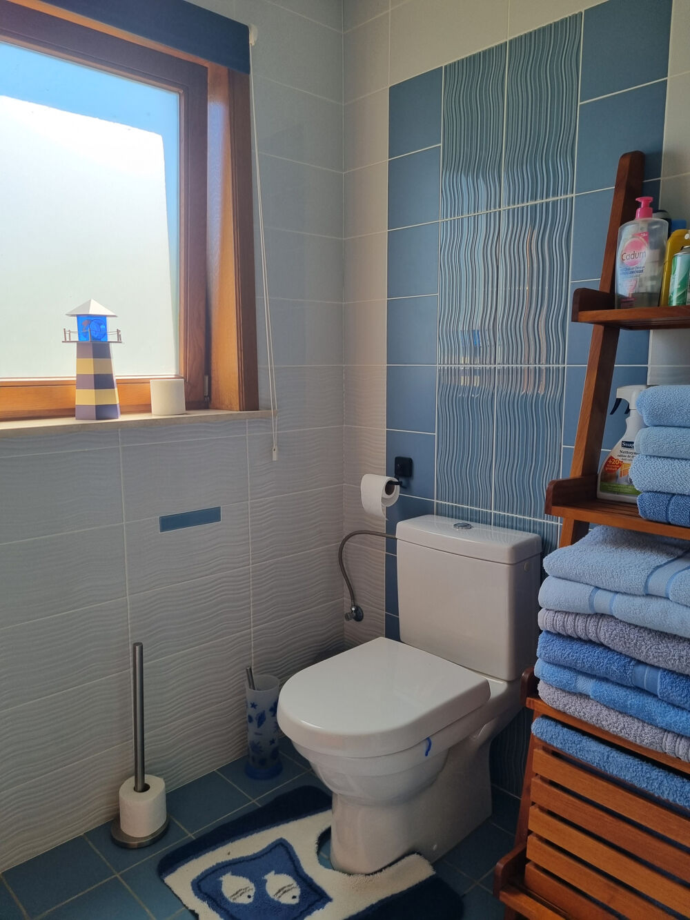 à vendre  Maison Forcalquier (04300)