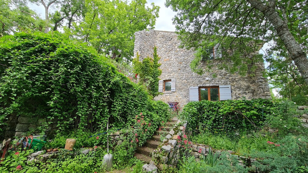 Vente Propriété/Château Propriété avec terrain Sisteron